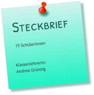 Steckbrief  15 SchülerInnen   Klassenlehrerin: Andrea Grünzig